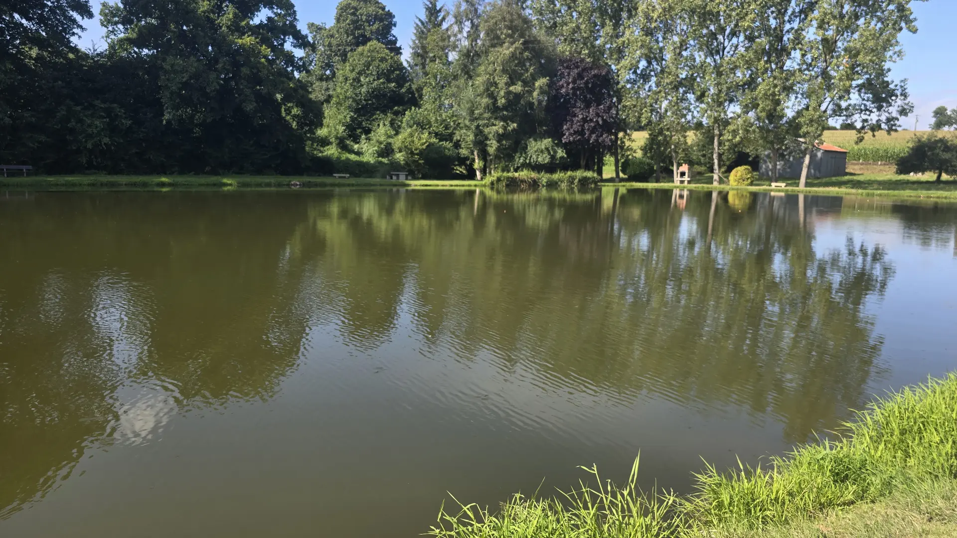 aire de pique nique etang la dorée 53 © bocage mayennais - 3