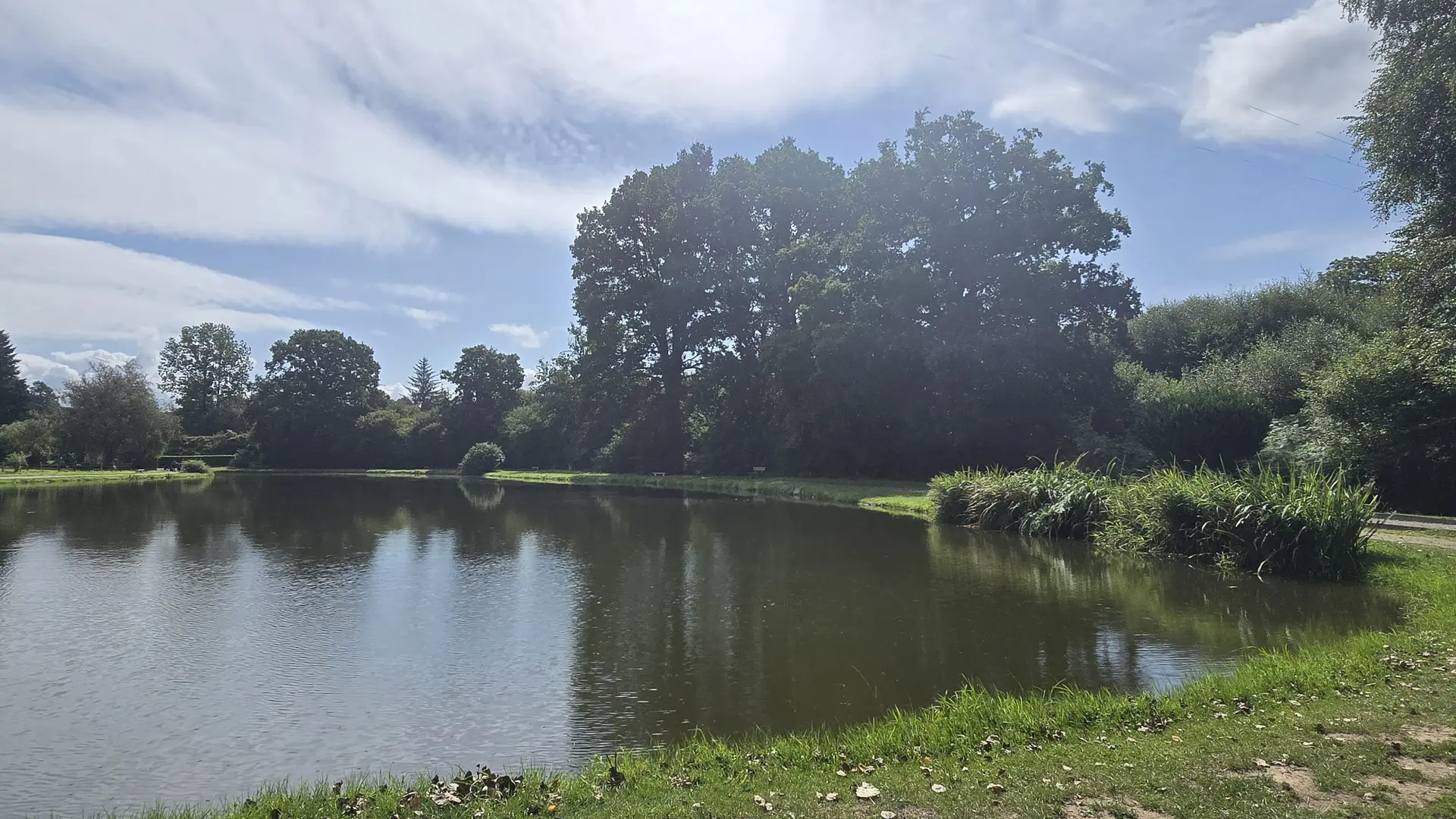 aire de pique nique etang la dorée 53 © bocage mayennais - 30