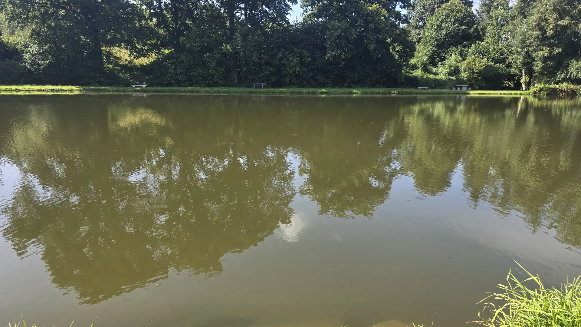 aire de pique nique etang la dorée 53 © bocage mayennais - 5