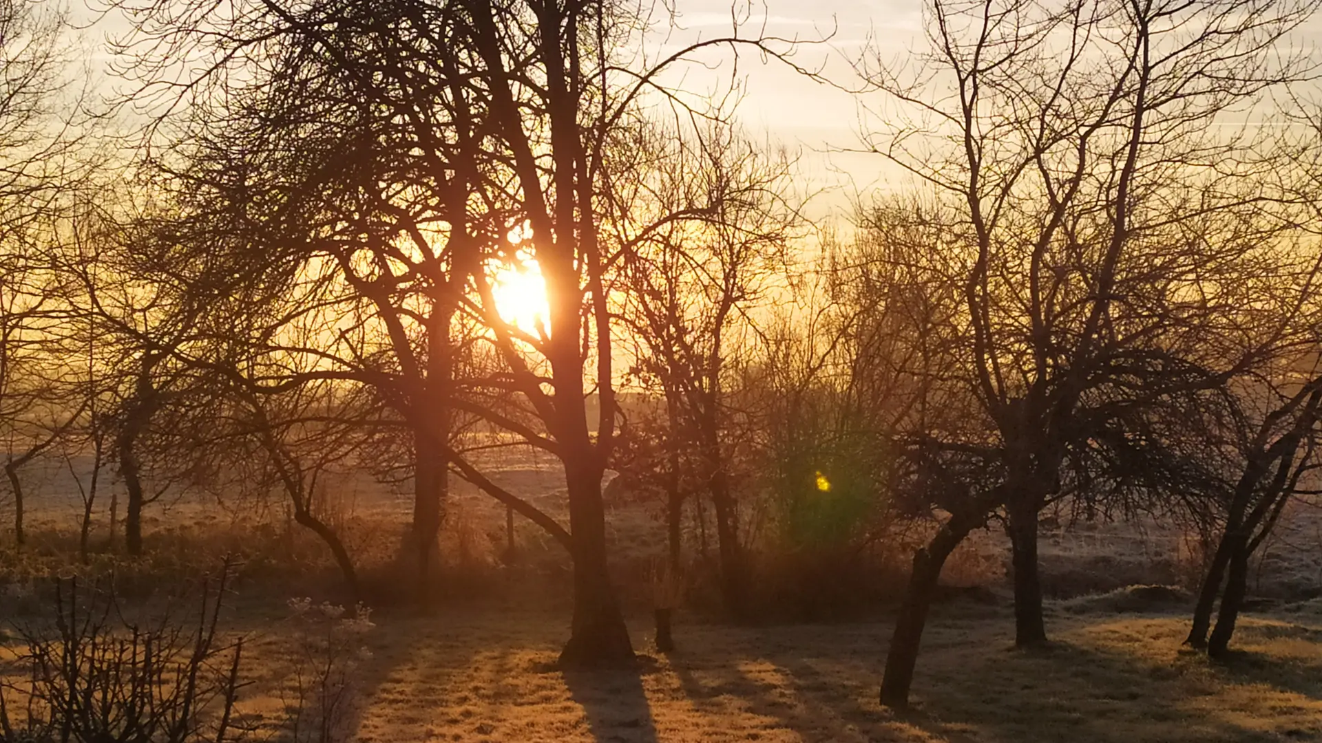 ambrieres-les-vallee-chambre-d-hotes-au-bout-de-la-maraiscp-Durand-Rozenn