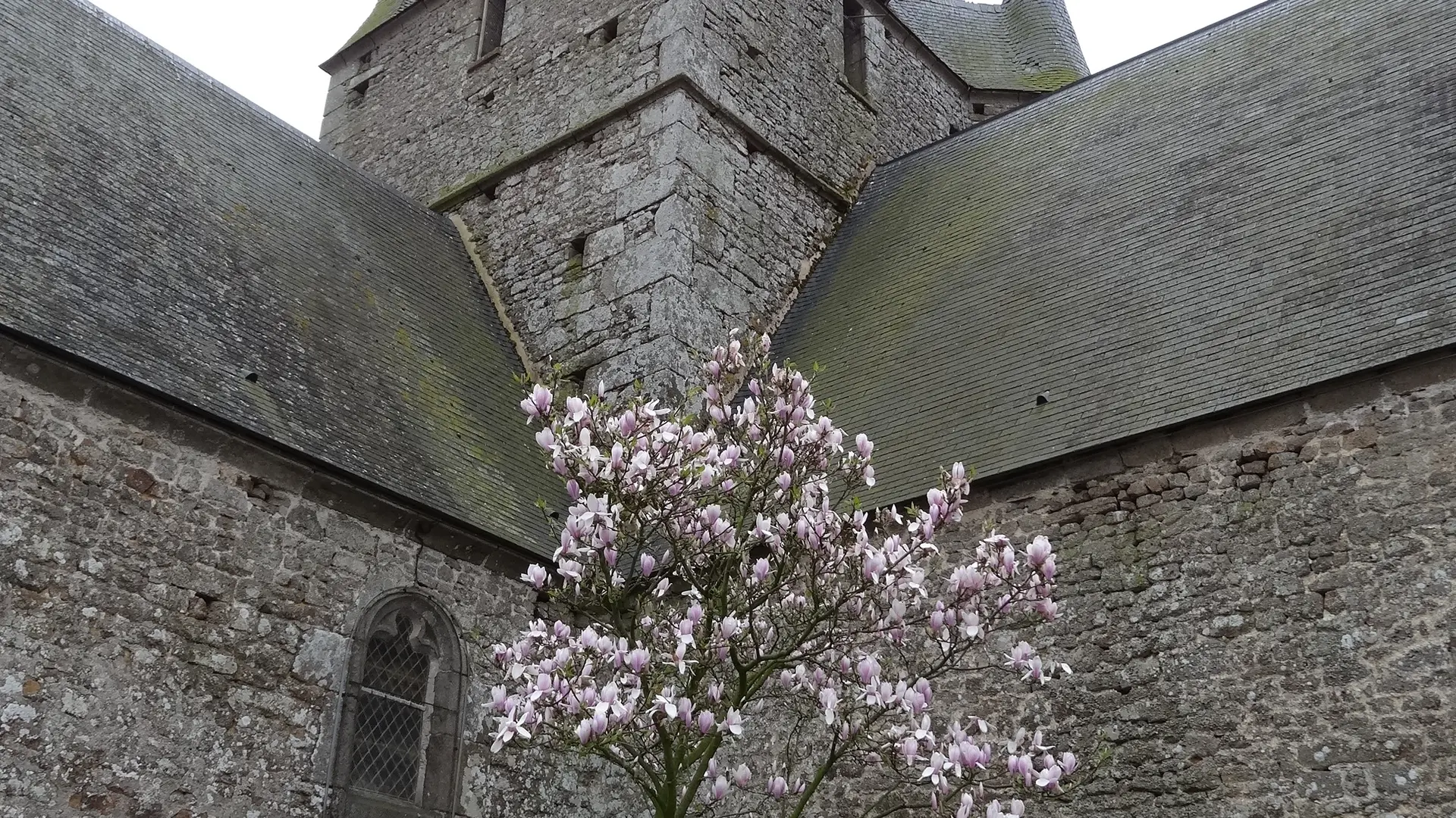 sentier-du-saut-au-loup-brece-53-iti-500