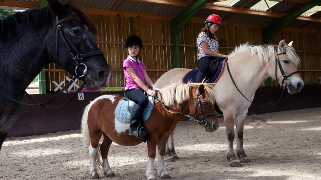 centre-equestre-ambrieres-les-vallees-53-asc-2