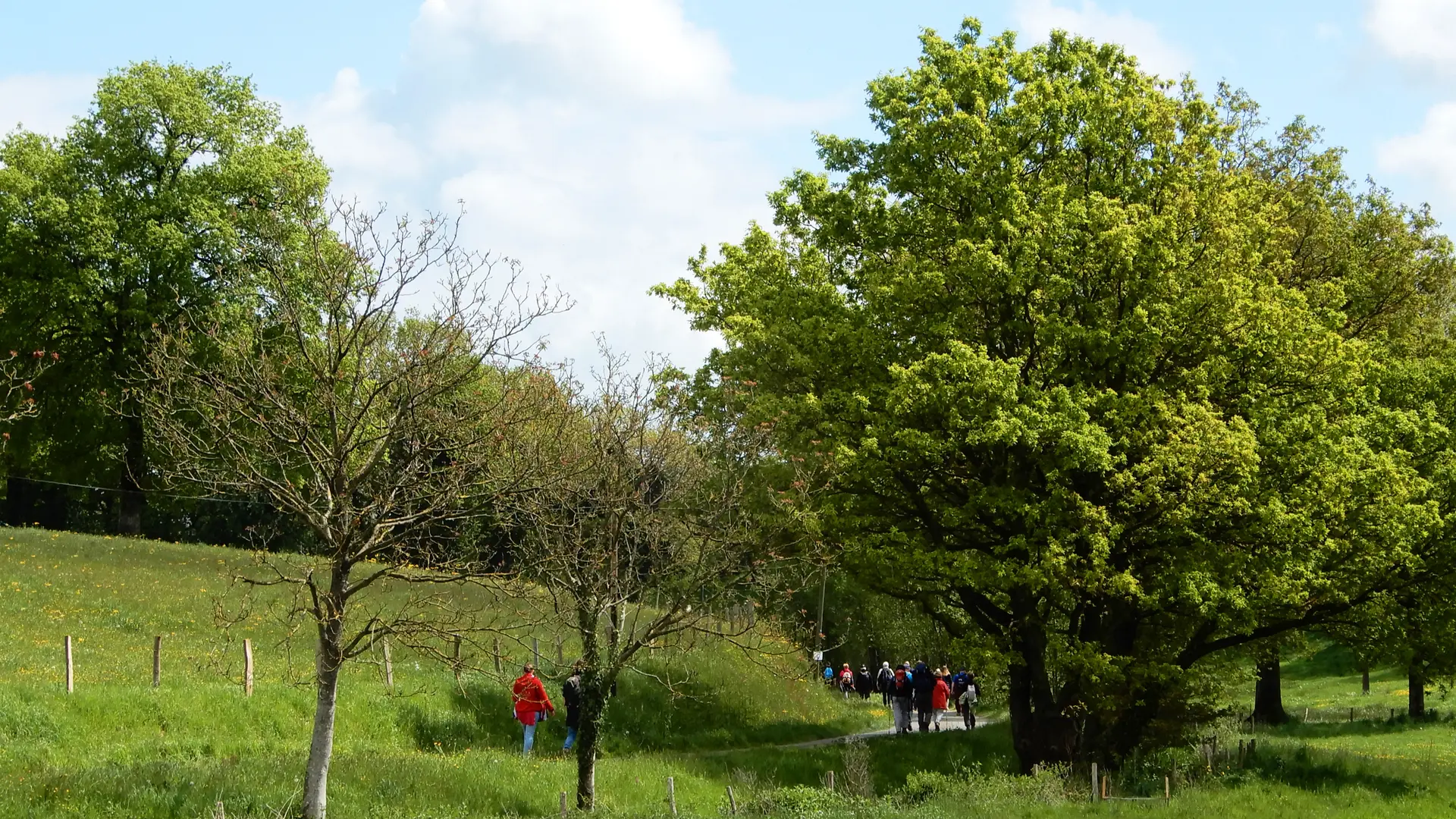 circuit-de-laumarin-1