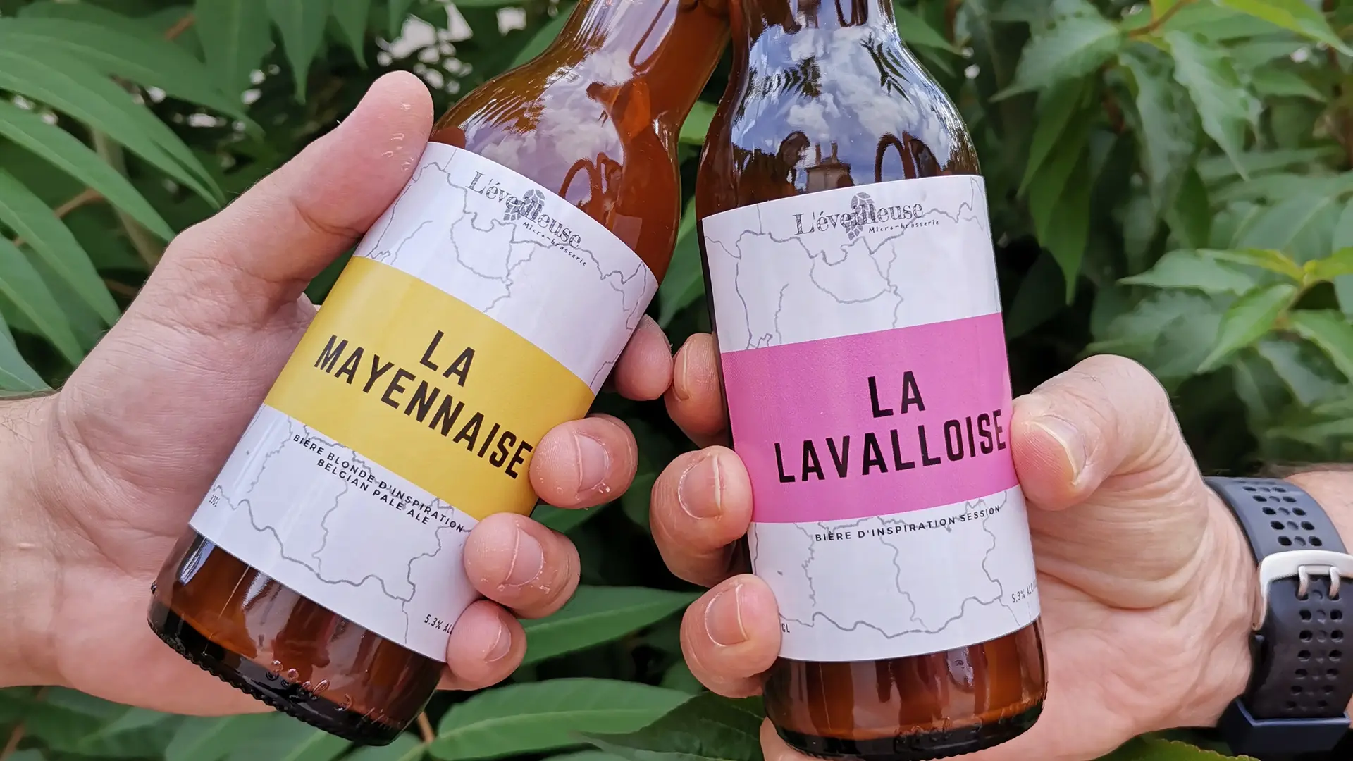 l'eveilleuse mayennaise et lavalloise
