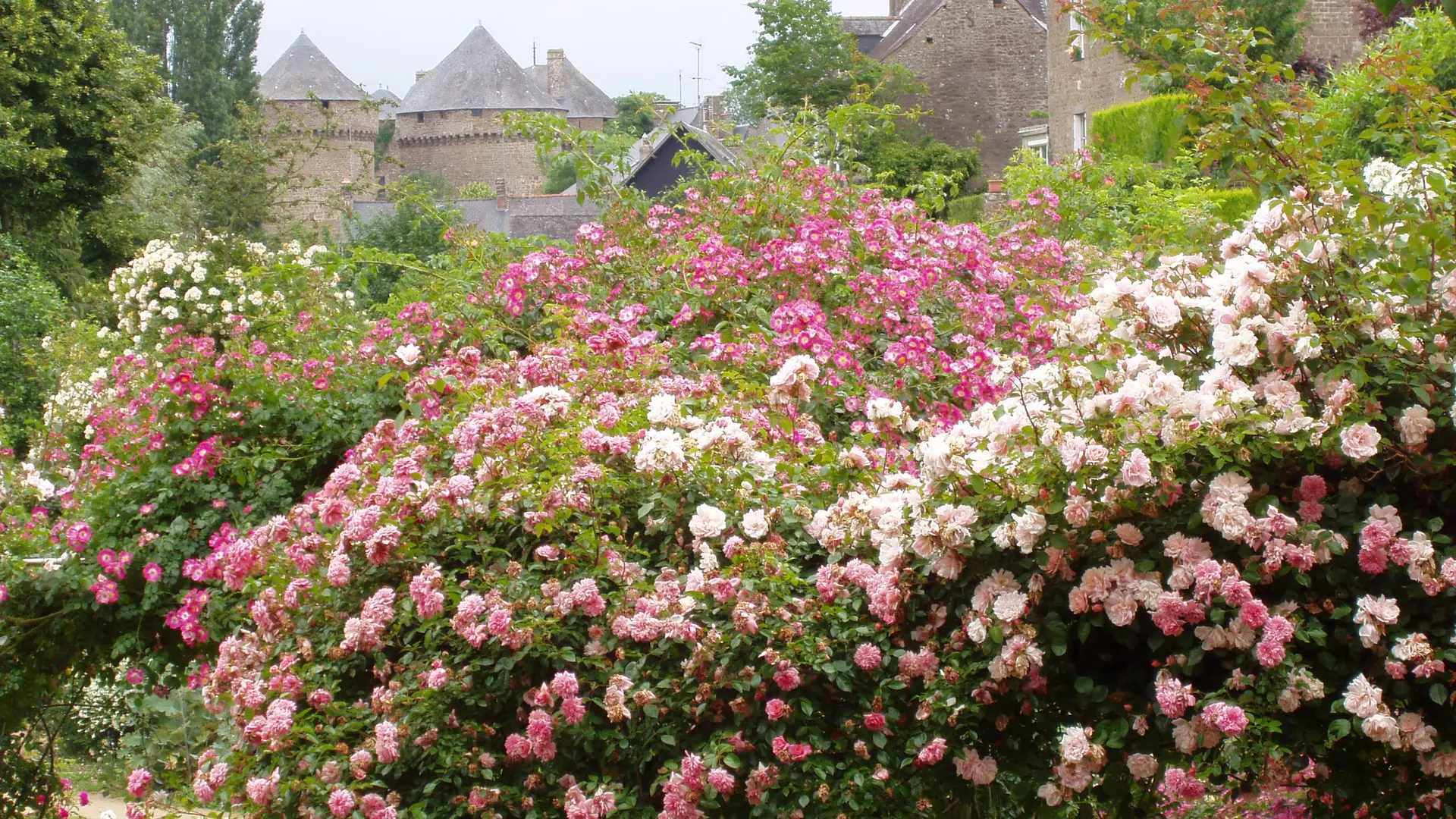 Roseraie de Lassay-les-Châteaux