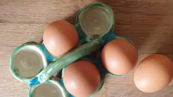 le bocal - plateau à oeufs