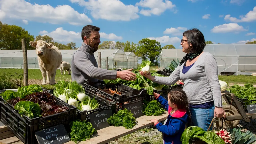 le potager de Gaël