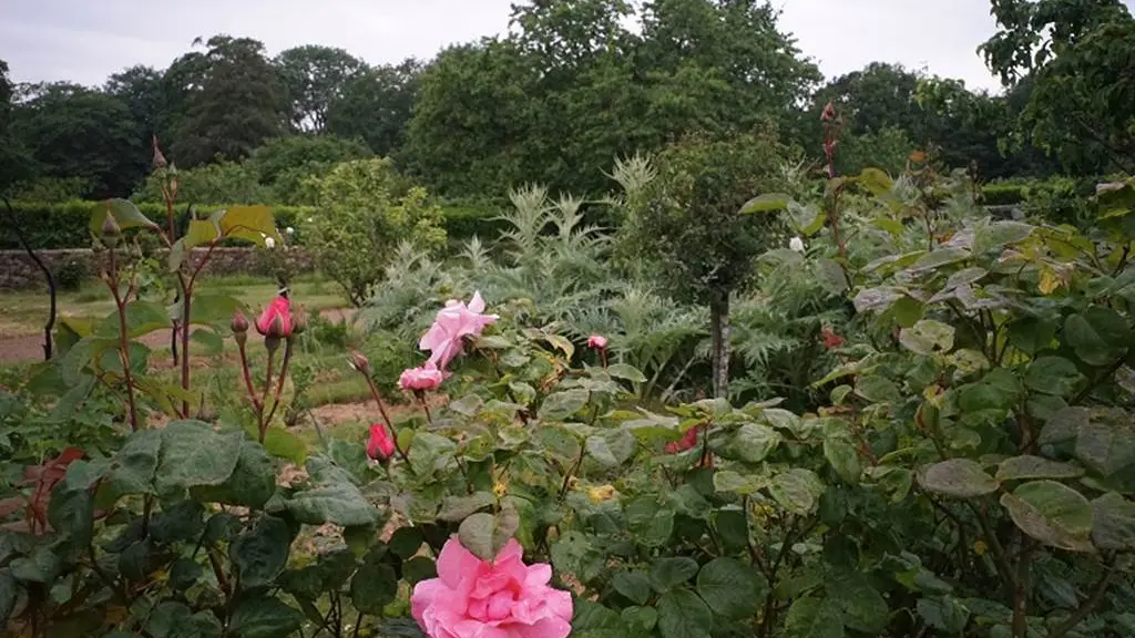 Jardins du Château de Kerambar'h-landaul-morbihan-bretagne-sud