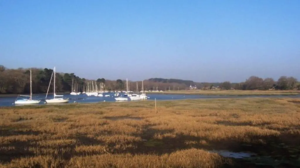 Rives du Vincin Vannes Morbihan Bretagne Sud