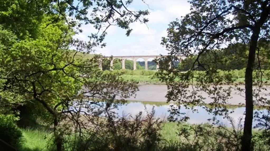 La Petite Forêt - Auray - Morbihan Bretagne Sud