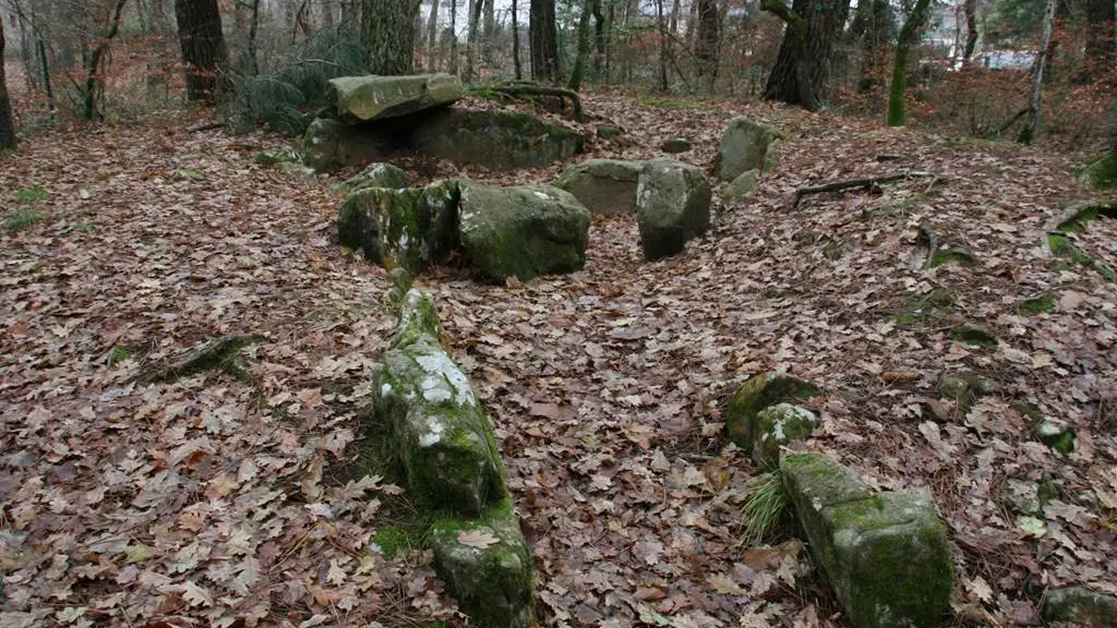 Bois de Kerzuc - Dolmen - CRACH - Morbihan Bretagne Sud