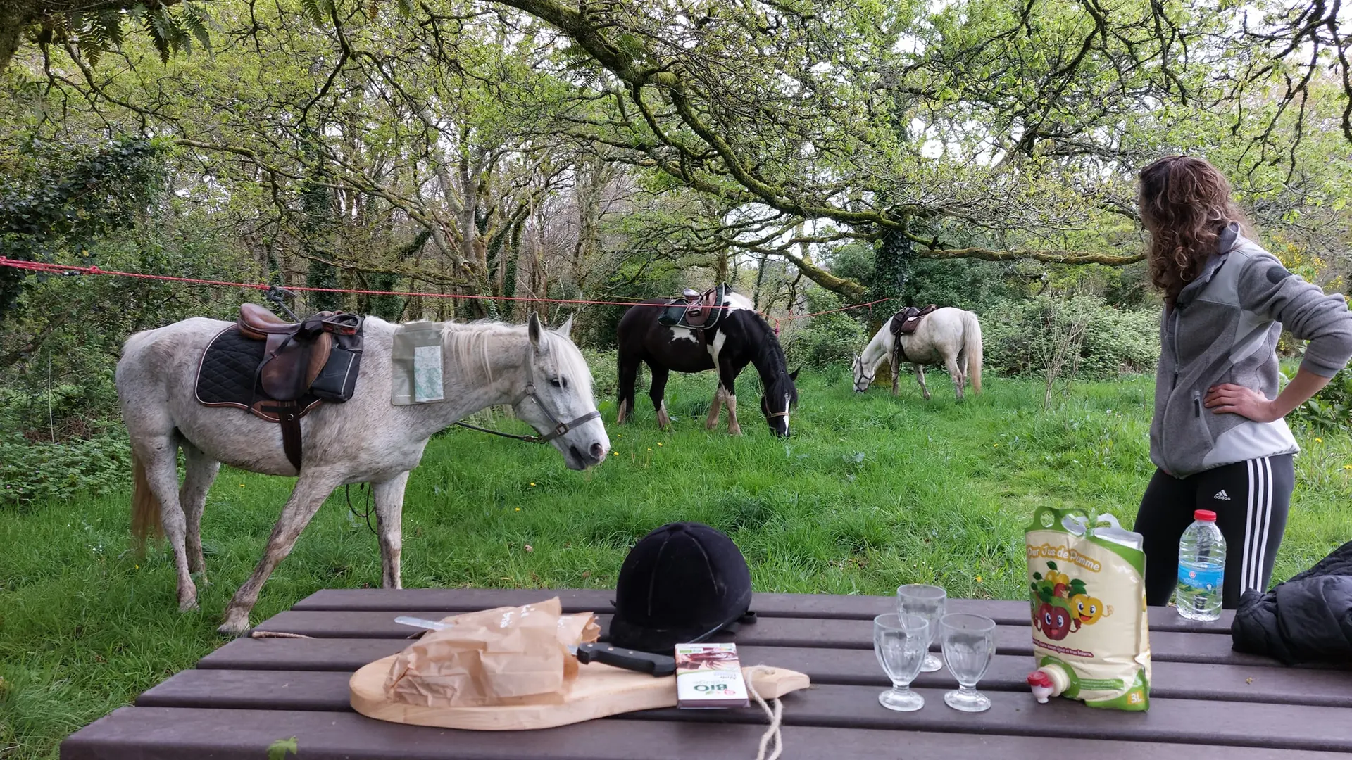 491830644_122157493316504313_856239036409825660_n