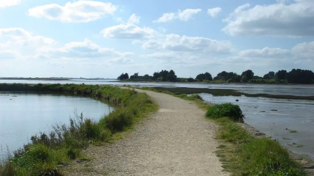 Marais de Lasné - Saint-Armel - Morbihan Bretagne Sud