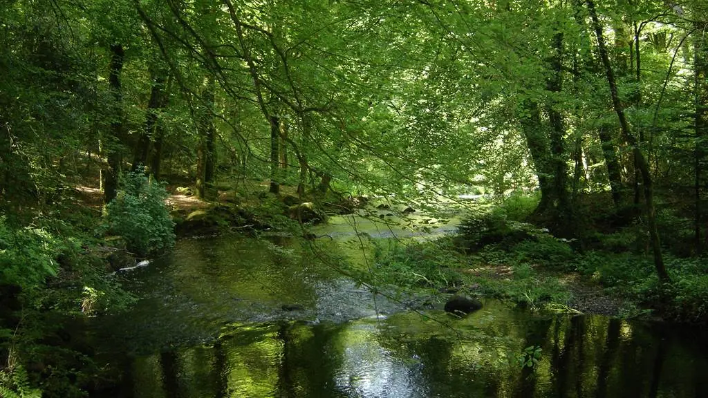 Vallée du Scorff - Pays du roi Morvan - Morbihan Bretagne Sud