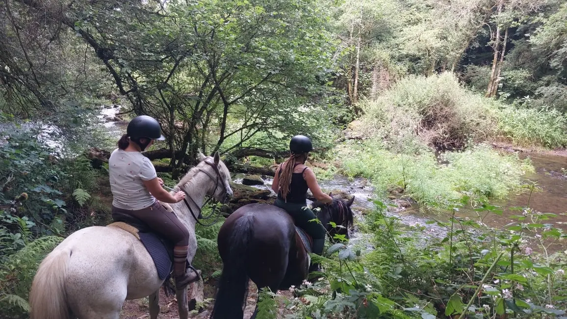 511169635_122167843766504313_3216409059169886581_n