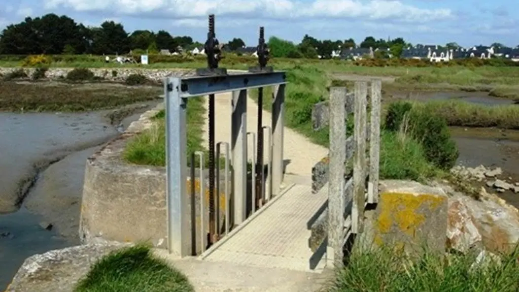 Marais de Lasné St Armel Morbihan Bretagne Sud