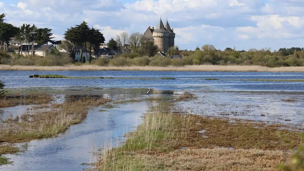Ar Bazeu Duchess - Gîte N°56G240117 – SARZEAU – Morbihan Bretagne Sud