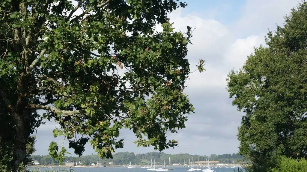 Gîte St Colomban - Gîte N°56G343 – CARNAC – Morbihan Bretagne Sud