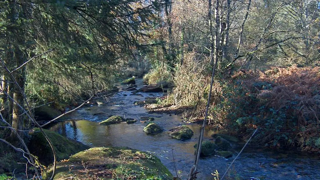 Vallée de l'Aër - Ploërdut - Morbihan Bretagne Sud