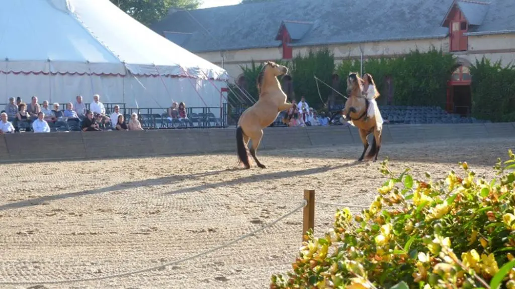 Haras National d'Hennebont