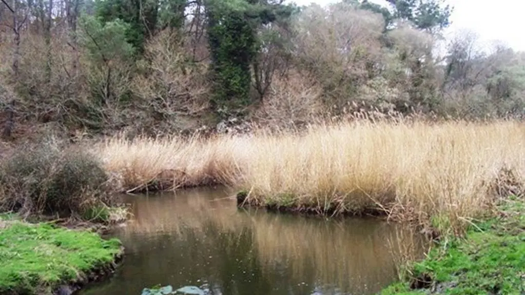 Bois de Pont Sal Plougoumelen Morbihan Bretagne Sud