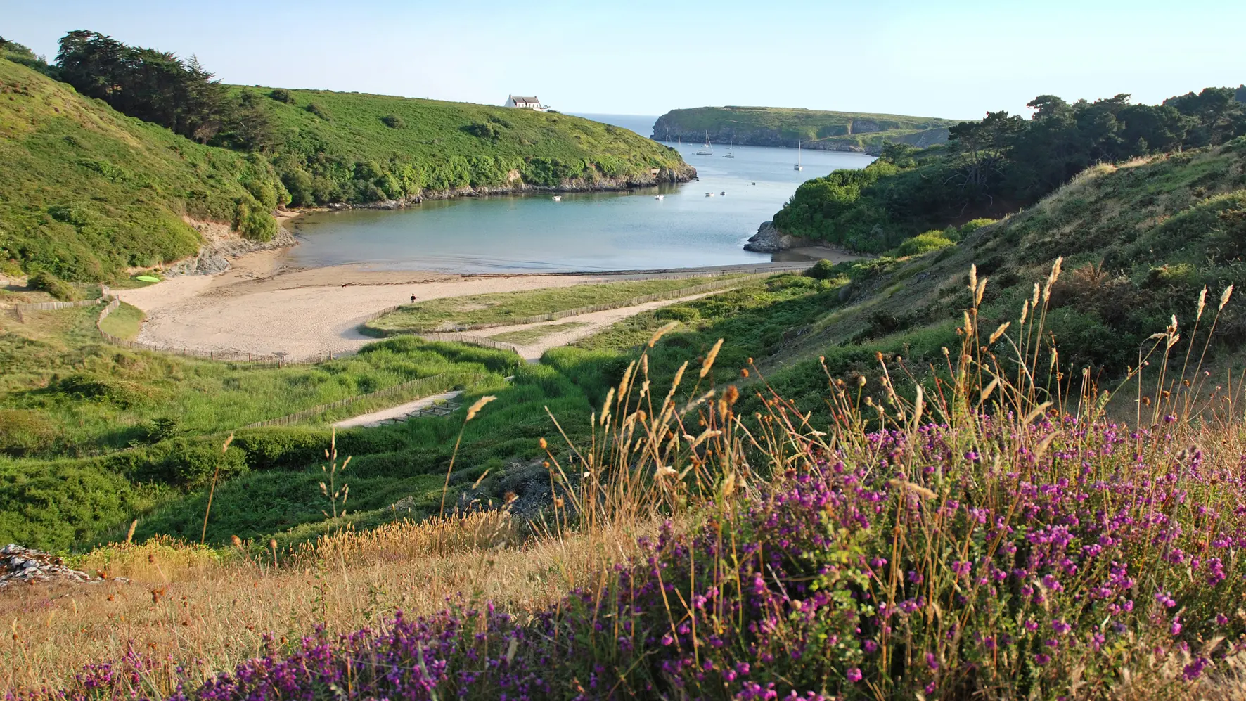 696955_bretagne_sud_-__belle_ile_en_mer_-_morbihan_-_plage_-_bangor_-_kerel_-__loup_samzun_-_1