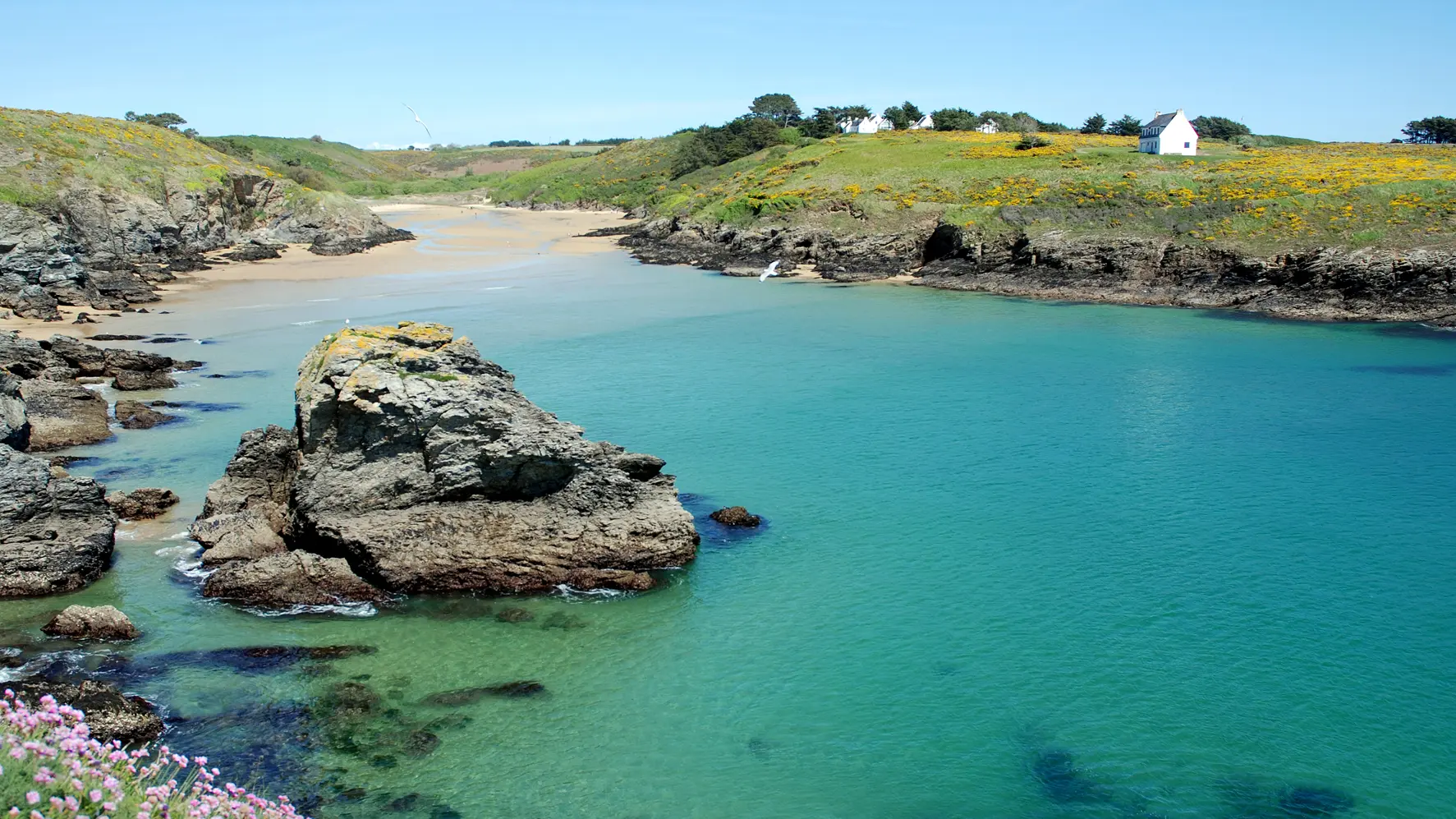 696956_bretagne_sud_-__belle_ile_en_mer_-_morbihan_-_plage_-_bangor_-_kerel_-_printemps_-__loup_samzun_-