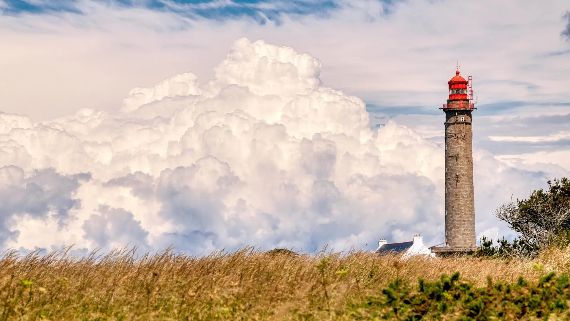 697502_histoire_-_goulphar_-_bangor_-_printemps_-_le_grand_phare_-_fabien_giordano_-_bellimages_-_2019