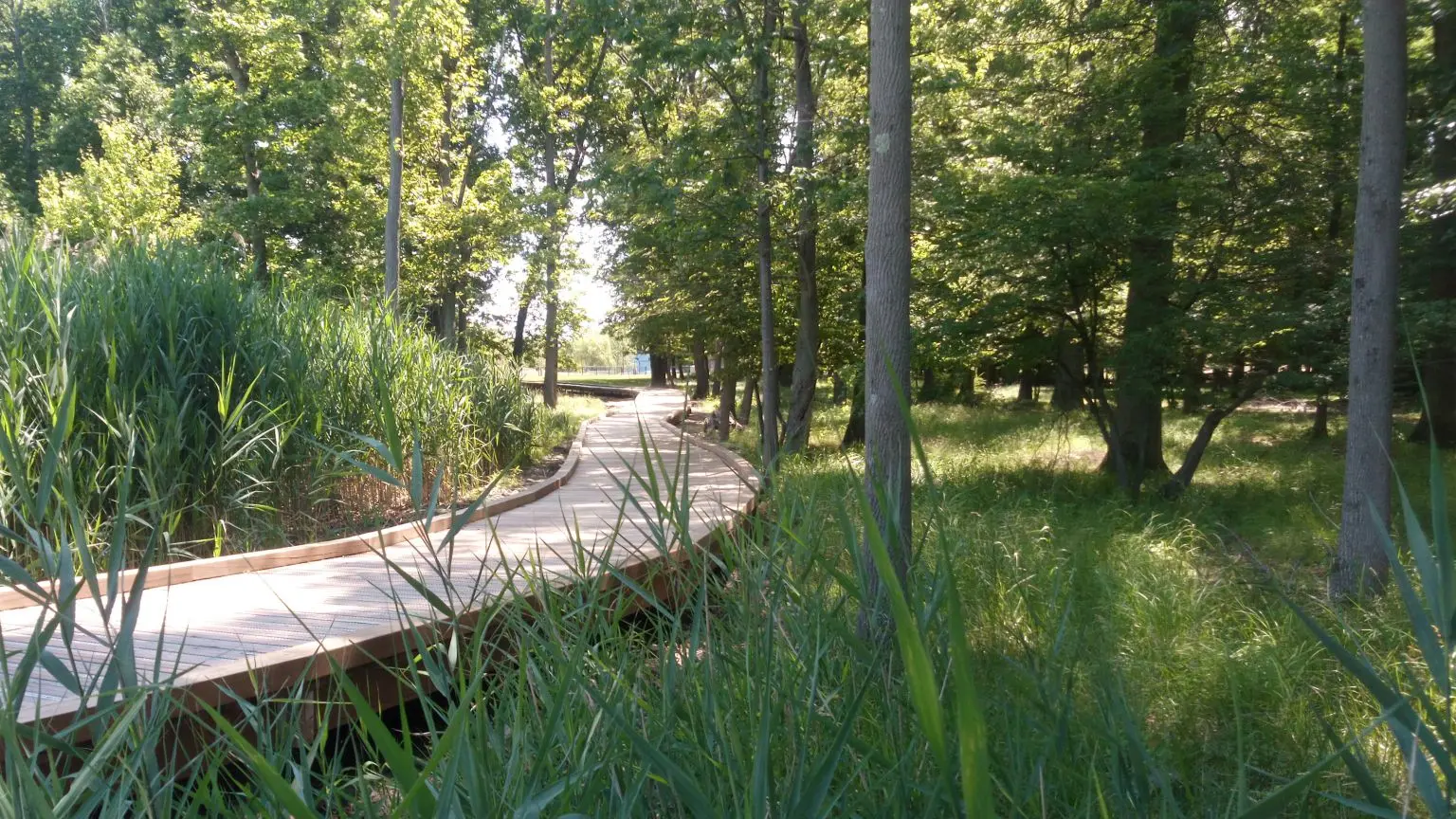 Sentier pédagogique - Ludana Parc -Camors