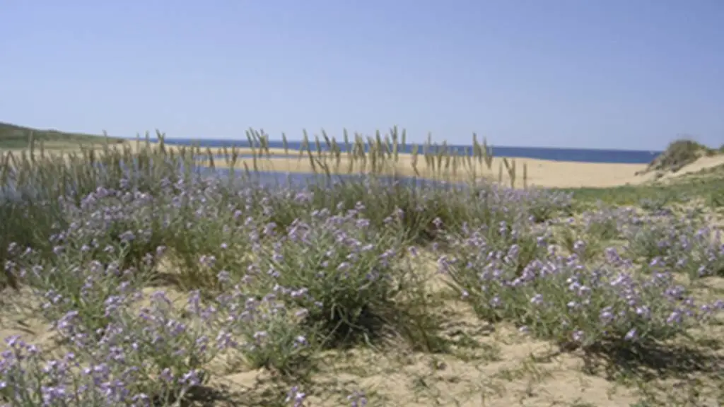 Dunes de Kerminihy Kerhilio Erdeven Morbihan Bretagne Sud