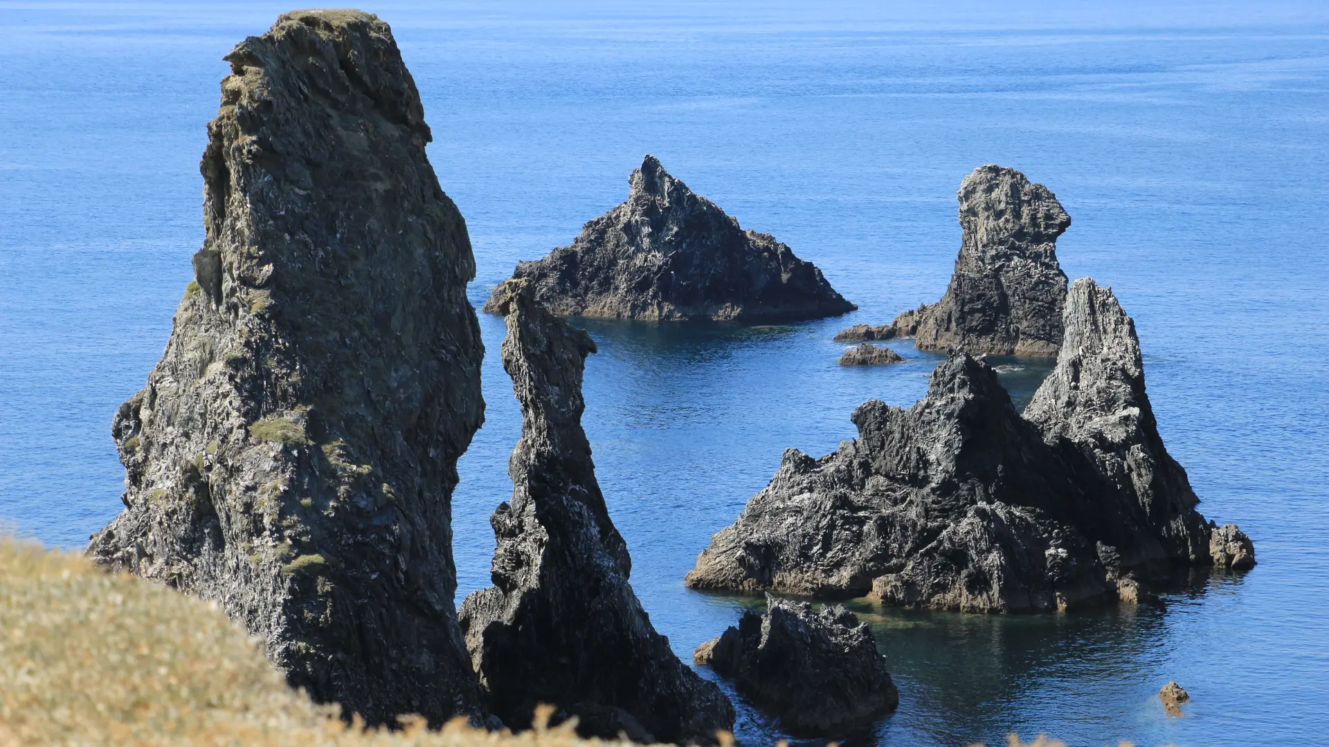 721100_nature_-_arts_-_aiguilles__de_port_coton_-_bangor_-_4_saisons_-_karine_piquet_-_2021_5