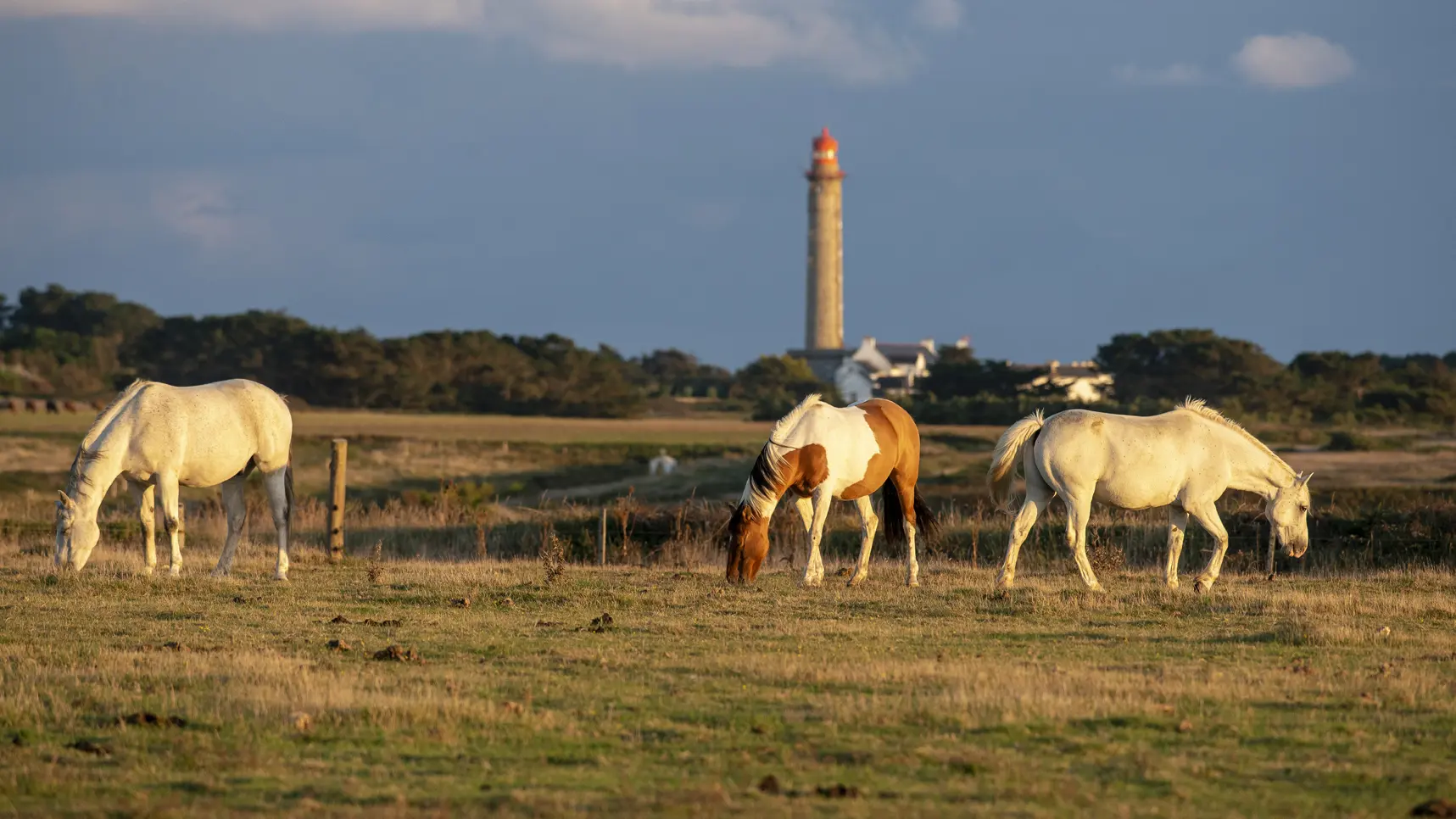 721105_histoire_-_donnant_-_bangor_-_4_saisons_-le_grand_phare_-_philippe_dannic_usage_2020-2023
