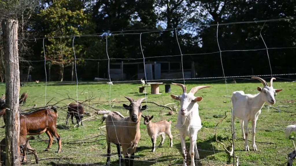 Gites Ty Familh_Reguiny