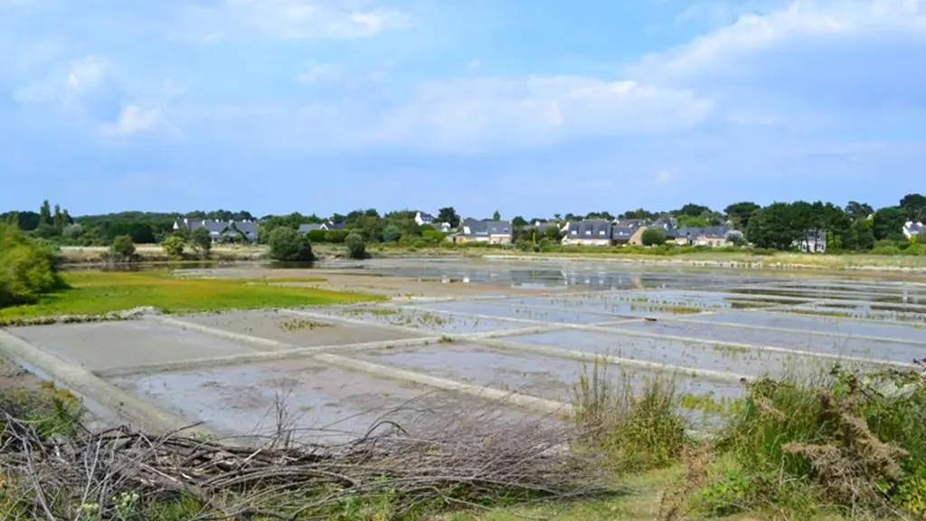 Site de Kervillen - La Trinité sur Mer - Morbihan Bretagne Sud