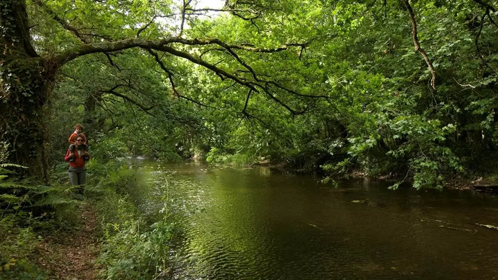 Rivière du loch morbihan bretagne sud