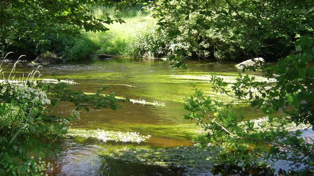 Vallée du Scorff - Pays du roi Morvan - Morbihan Bretagne Sud