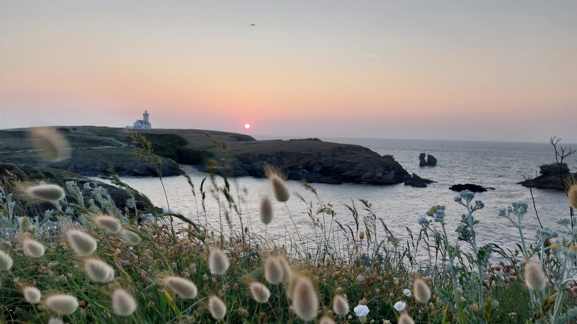 845708_pointe_des_poulains_avec_des_pompoms_et_un_coucher_de_soleil_-_maiwenn_lucas_-_2024-2029_2