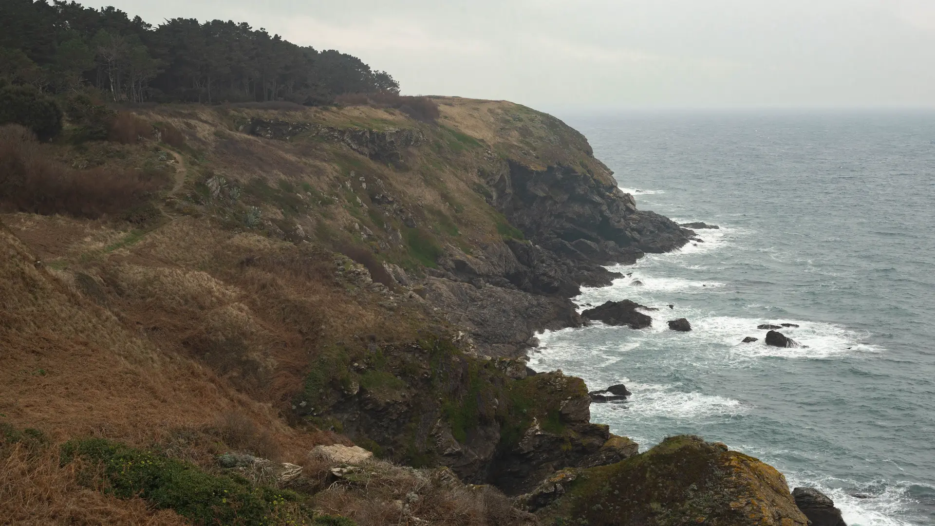 845803_yasmeen_besnier_-_belle-ile-en-mer_skeul_en_hiver_chemin_sur_la_falaise