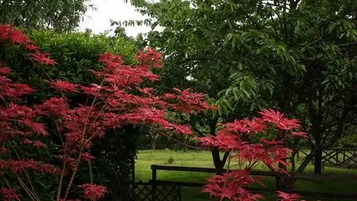 Jardins du Château de Kerambar'h-landaul-morbihan-bretagne-sud