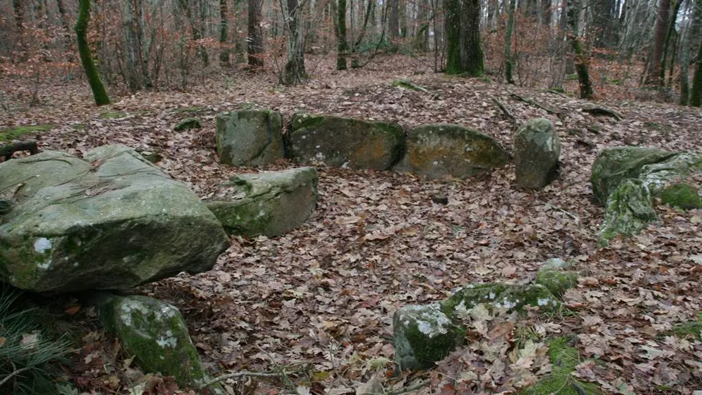 Bois de Kerzuc - Dolmen - CRACH - Morbihan Bretagne Sud