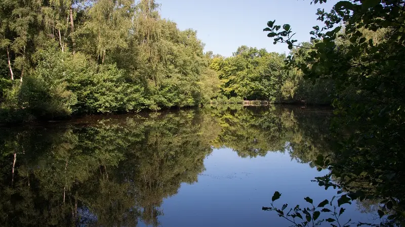 Miroir aux Fées