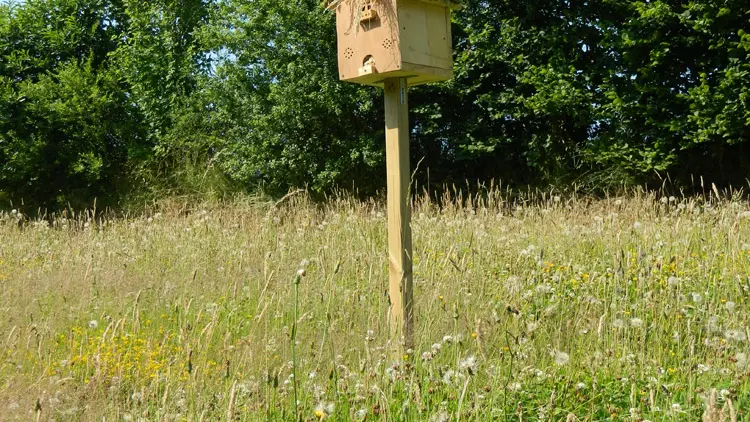 ©OT-Pontivy-Communauté_Circuit-Vallées-Plurit-et-Resto-(5)