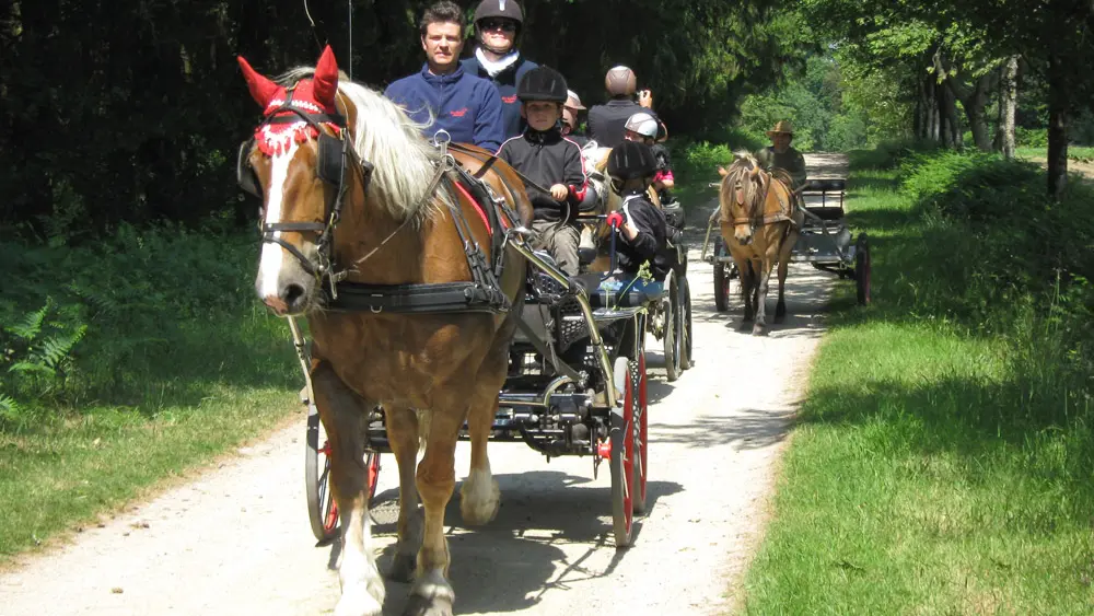 ©OT-Pontivy-Communauté_Circuit-de-Kalong-Guern-(5)