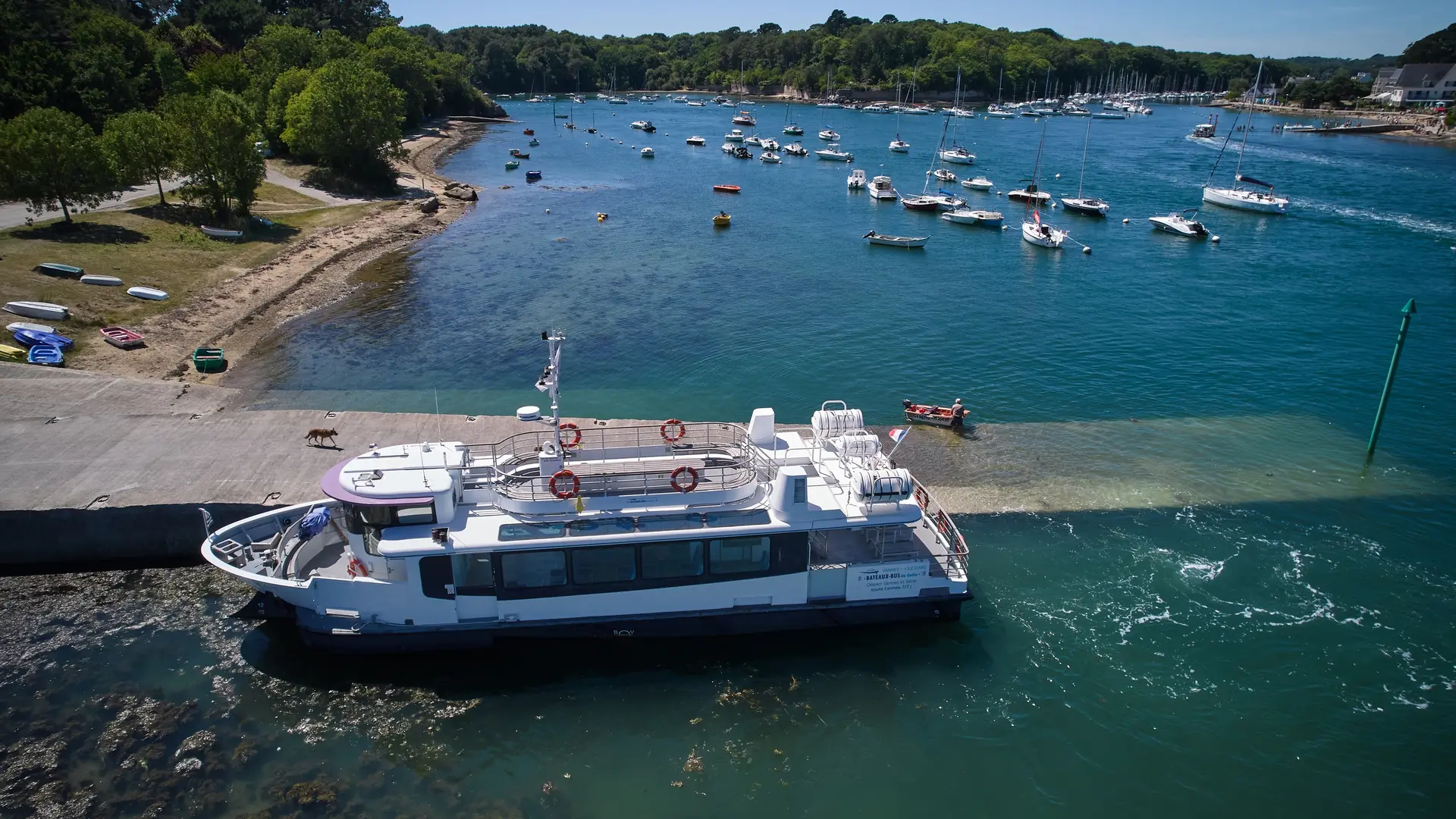 Bateaux-Bus du Golfe