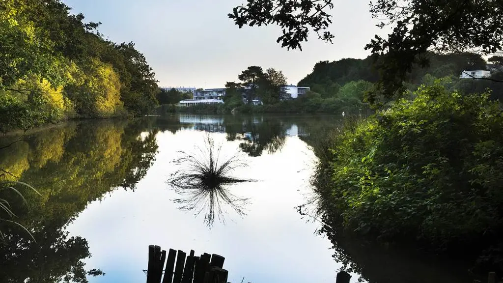 Hôtel-Restaurant-Les-Rives-du-Ter-Larmor-Groix-Lorient-Morbihan-Bretagne-sud