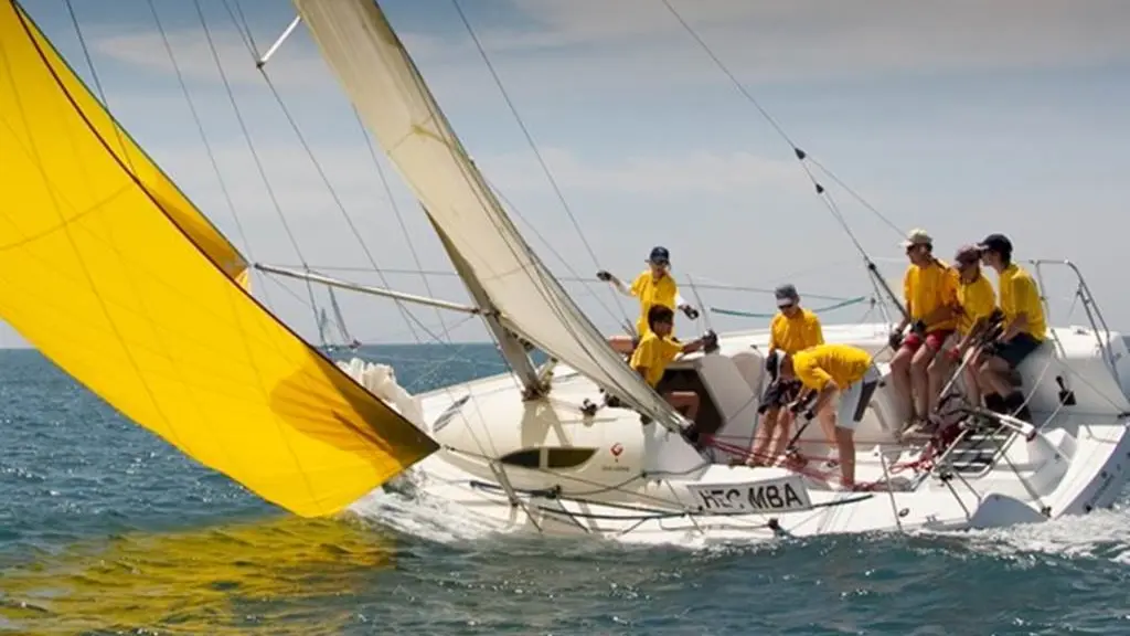 Régate d'entreprise avec Team Winds
