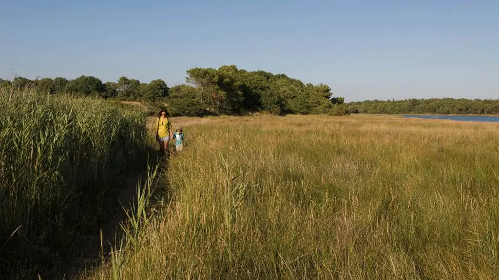 Randonnée - Landévant - Circuit du Listoir - Morbihan - Bretagne Sud