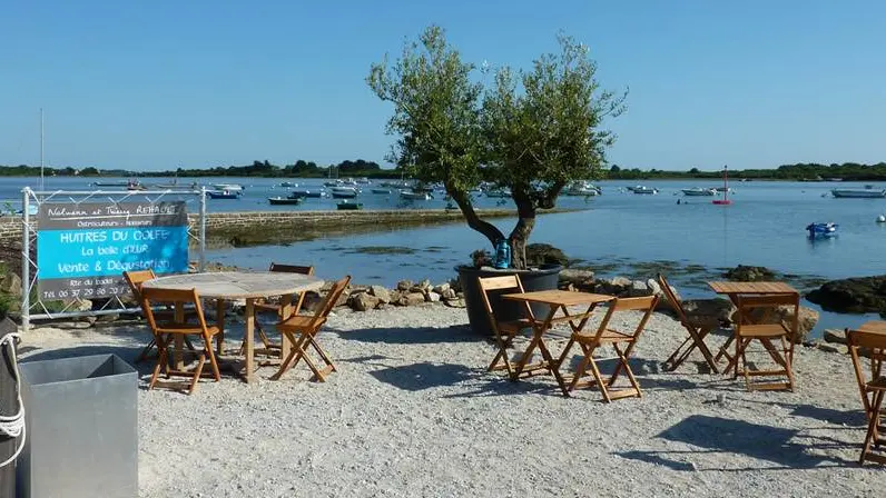 La-Belle-d'Ilur-Séné-Golfe-du-Morbihan-Bretagne Sud