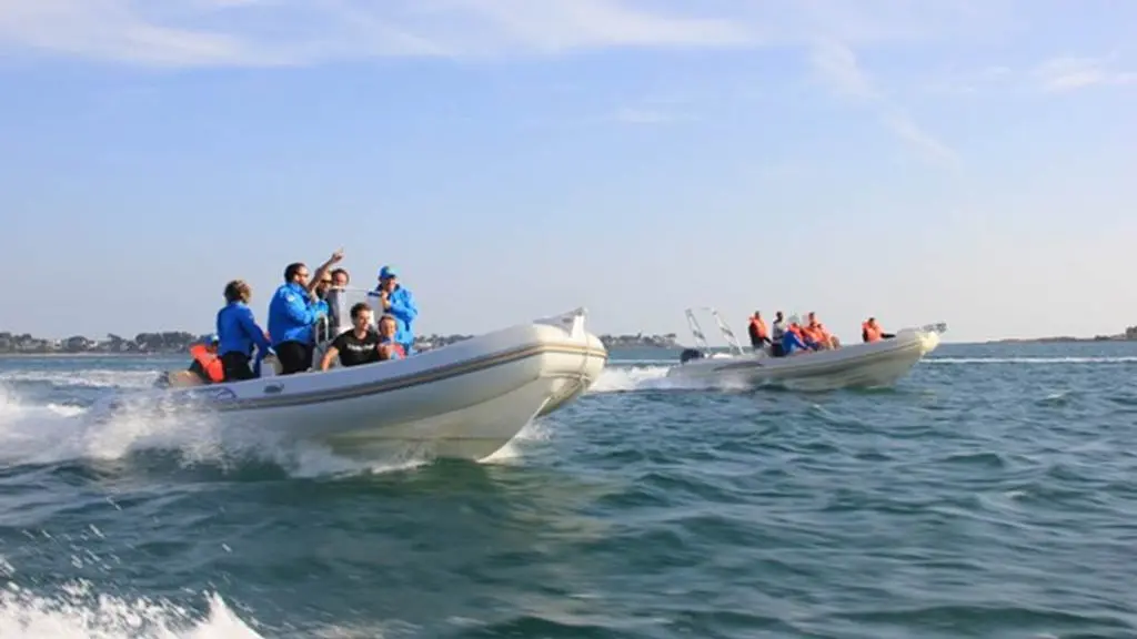 Raid nautique en semi-rigides dans le Golfe du Morbihan avec Skippage