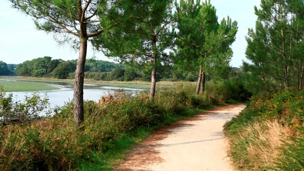 Rives du Vincin Vannes Morbihan Bretagne Sud